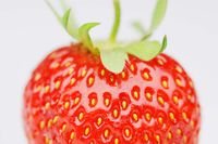The-Perfect-Strawberry by Stefan Böhme